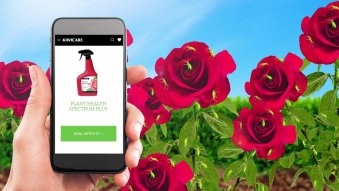 Embedded thumbnail for Kiwicare Ecommerce Content - Case Study