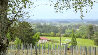Embedded thumbnail for Point Bush Estates - Promotional Video