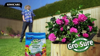 Embedded thumbnail for Kiwicare TV Commercials