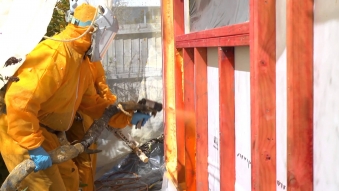 Embedded thumbnail for NZ Foam LTD - The next generation in insulation