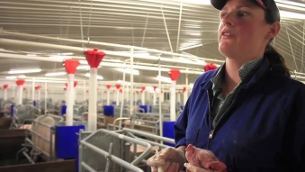 Embedded thumbnail for NZ Pork - Ben