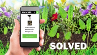 Embedded thumbnail for Kiwicare TV Commercials 1