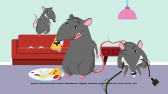 Embedded thumbnail for Kiwicare No More Rodents